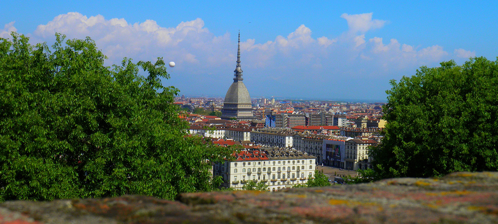 Turin panorama